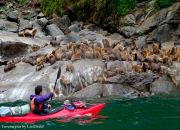Expedicion en Kayak a los Fiordos loberia Cahuelmo
