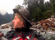 Expedicion en Kayak a los Fiordos loberia Cahuelmo