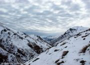 Nuebes de algodon Nuebes de algodon