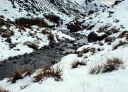 Paisajes nevados Paisajes nevados