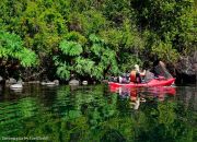 Circunnavegación en Kayak al Lago Calafquén hermosa vegetacion