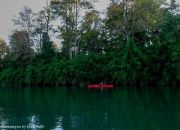 Descenso en kayak al Rio Cua Cua hermosa vegetacion