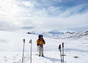 Saludos desde la nieve Saludos desde la nieve