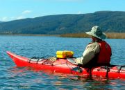 Travesia en Kayak al río Angachilla contemplando los cisnes Travesia en Kayak al río Angachilla contemplando los cisnes