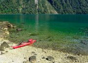 Expedicion en Kayak a los Fiordos claridad de las aguas