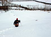 Enterrado en la nieve Enterrado en la nieve